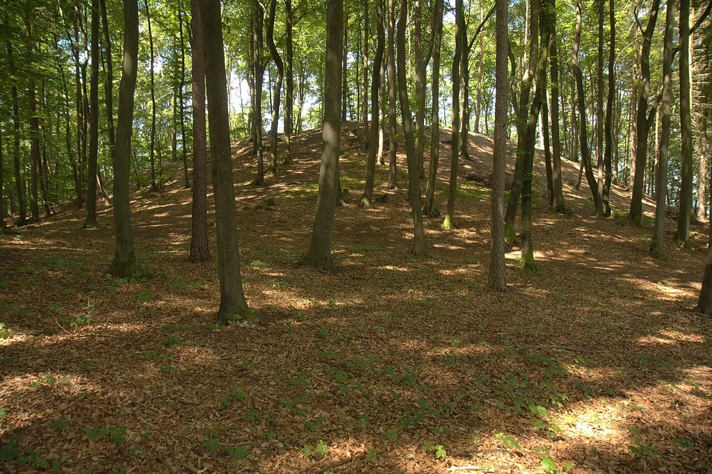 Burgstall Burgstein - Ansicht des Burgstalls aus östlicher Richtung