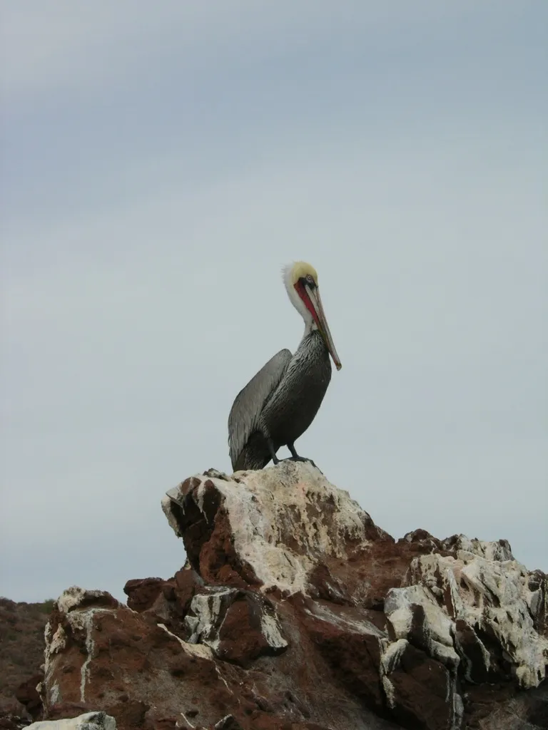El Vizcaíno Biosphere Reserve