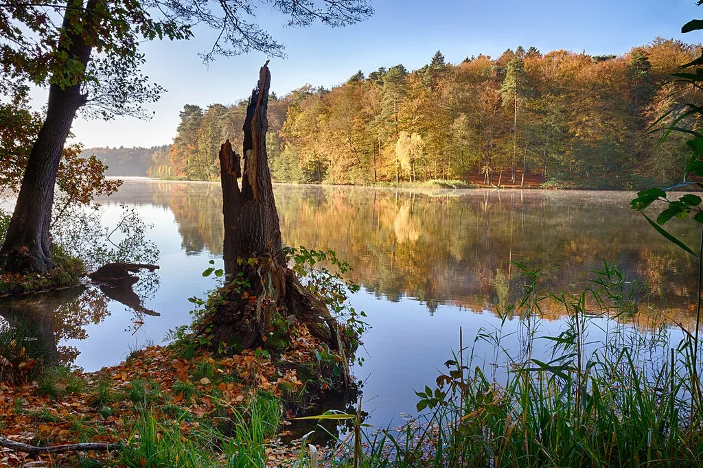 Blick über den Lütauer See bei Mölln im Herbst.