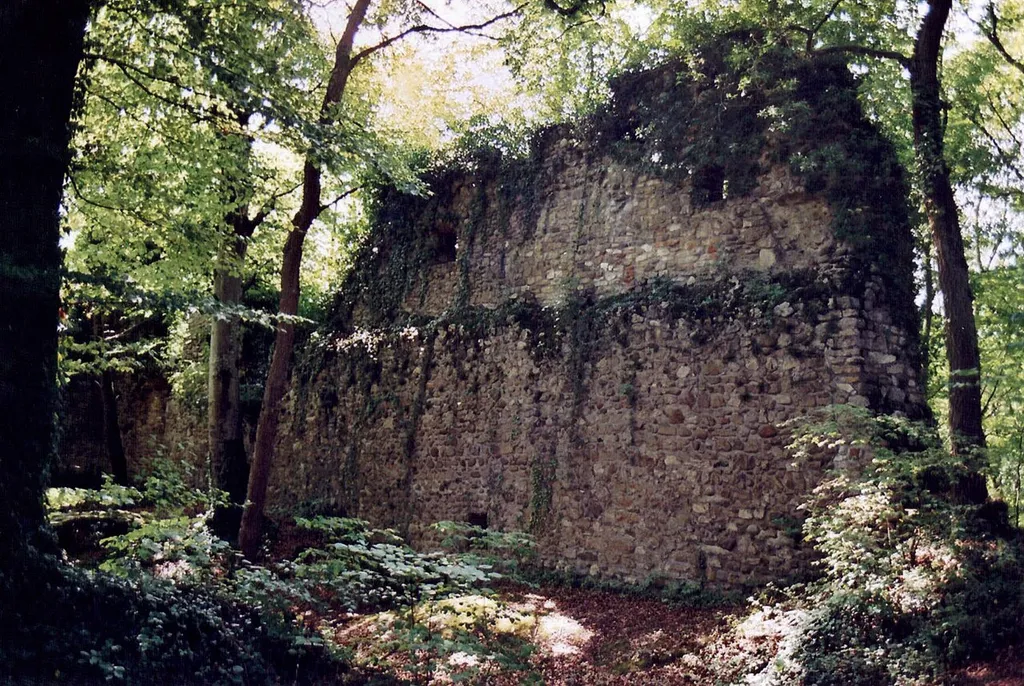 Burg Weisswasserstelz, Westseite