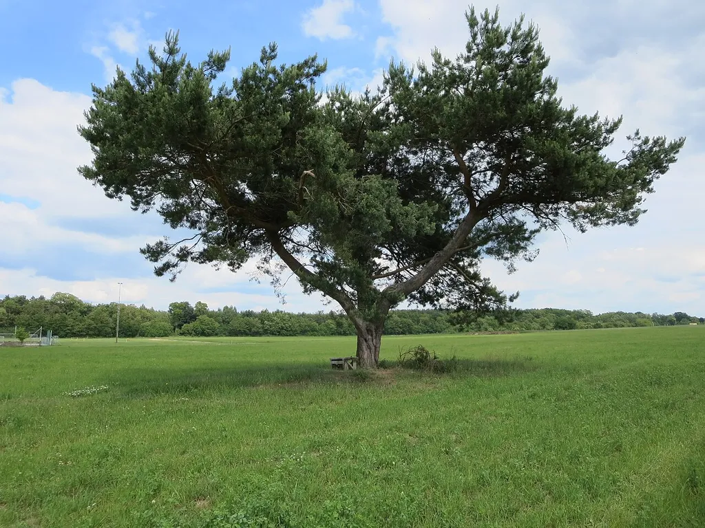 This image was uploaded as part of Wiki Loves Earth 2014.