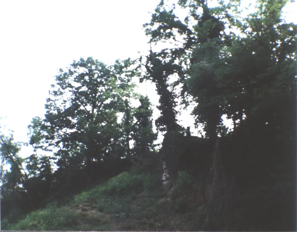 Burg Fürsteneck bei Oberkirch
