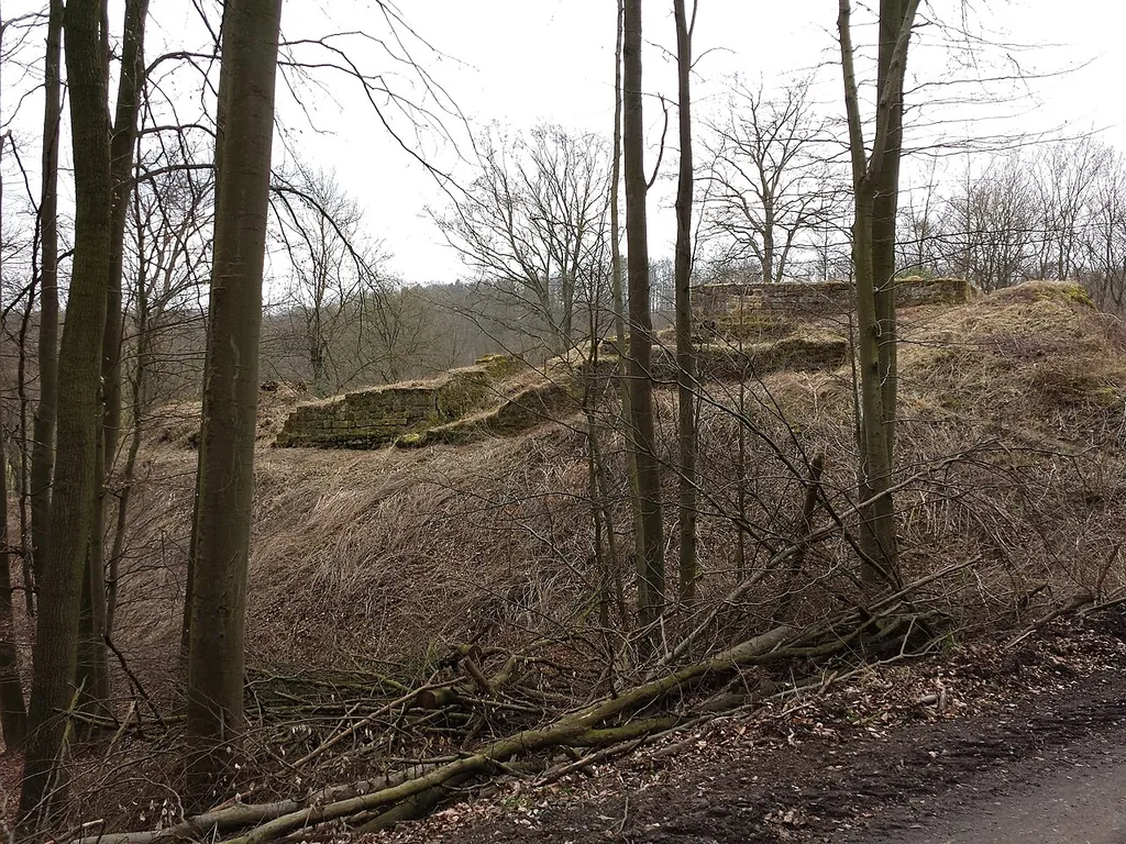 Seitenansicht der Burgruine Rodersen (Zustand Anfang März 2014), gelegen zwischen Volkmarsen und Wolfhagen