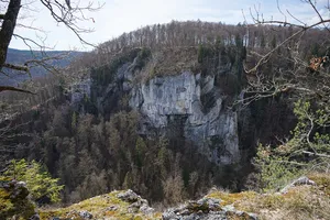 Burg Neidingen