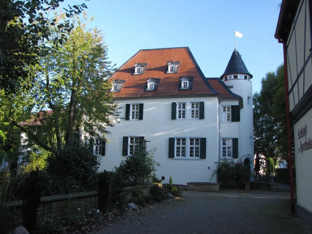 en:Rockenhausen castle