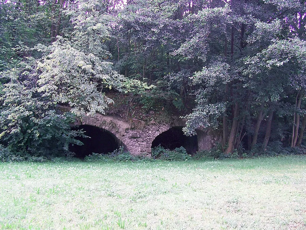 Burgwallbach