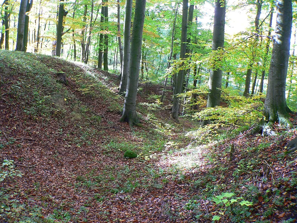 Burgstall Igelsburg bei Habichtswald-Dörnberg im Landkreis Kassel, Hessen, Deutschland
