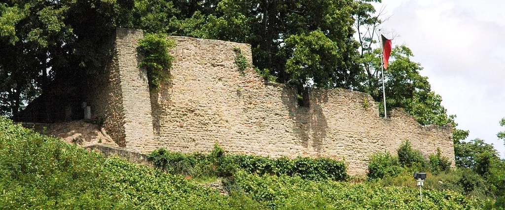 Burg Neu-Wolfstein