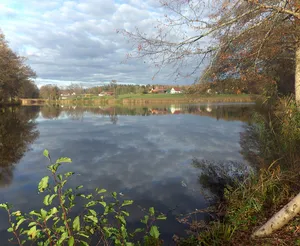 Fleckenbachsee