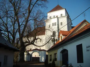 Castle Rožmitál pod Třemšínem