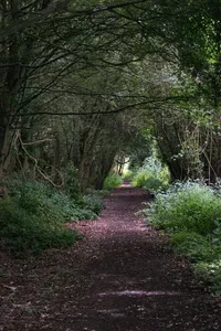 The Railway Walks