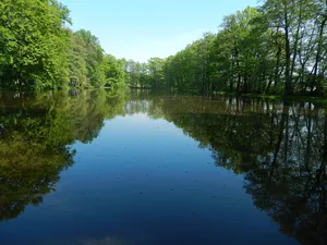 Moritzburger Kleinkuppenlandschaft