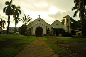Church Among the Palms