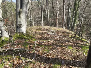 Castle site Altschloss