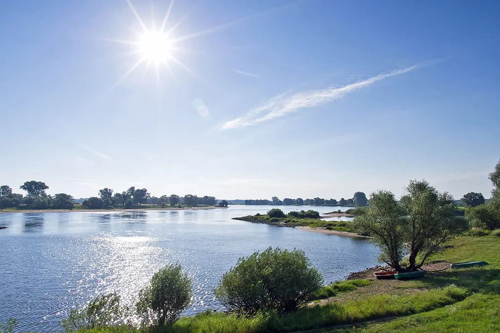 Summer morning at the river Elbe in the village Damnatz (district Lüchow-Dannenberg).