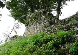 Kozjak Castle