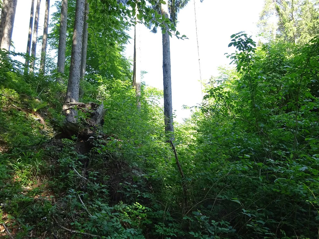 Burgstall Stumpfbühl, Ittelsburg, Landkreis Unterallgäu, Bayern