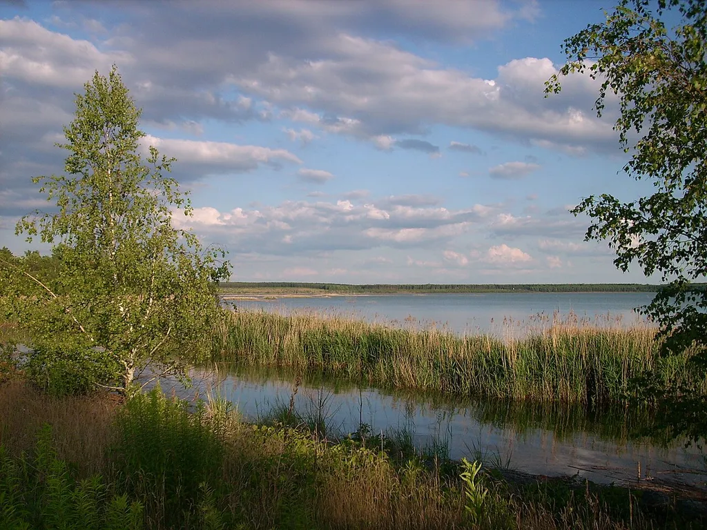 Speicher Burghammer, auch Bernsteinsee genannt, bei Burghammer (Spreetal)