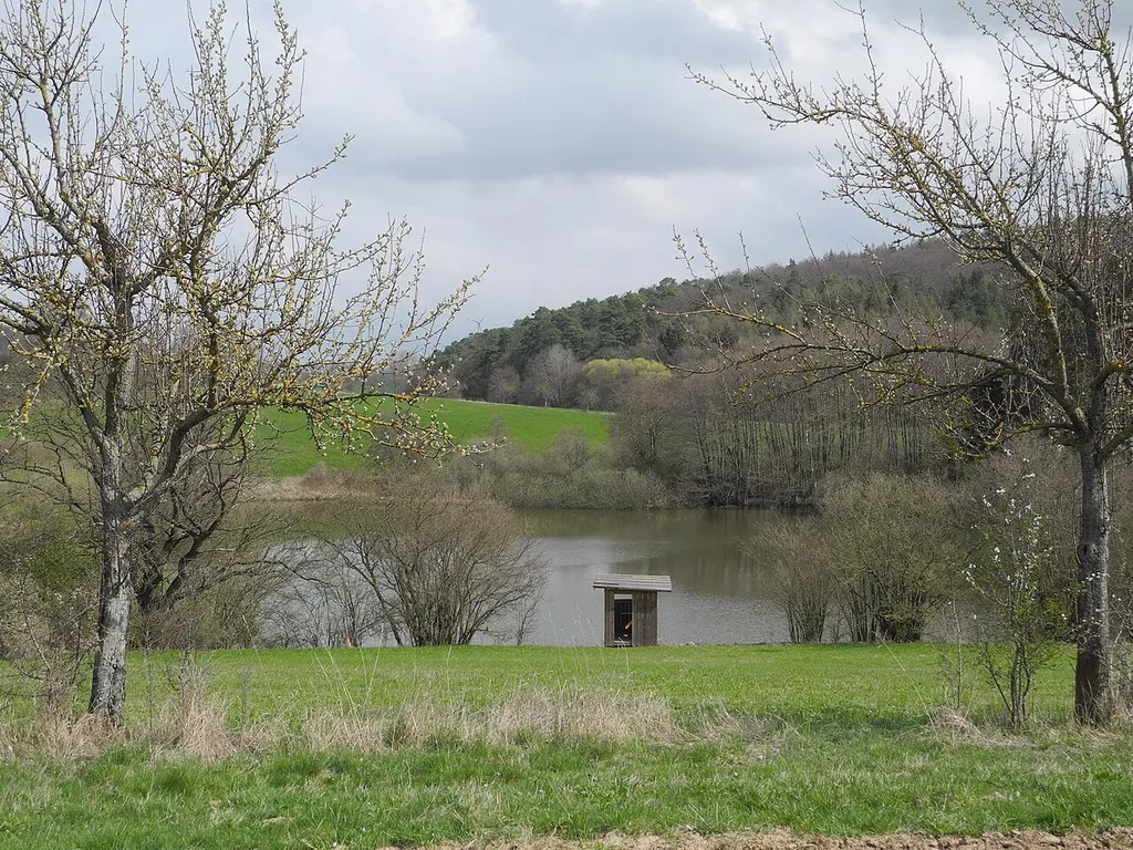 Naturschutzgebiet im Regierungsbezirk Kassel 1633013. „Hengstwiese bei Naumburg“, Grünland mit einem Teich und Gehölzen, direkt nordöstlich von Naumburg im Landkreis Kassel, Hessen, Deutschland. Blick von Süden.
