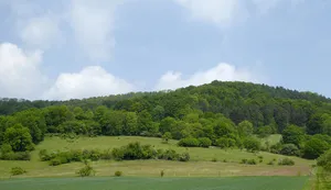 Südliche Burgberghänge, Weinberge bei Holenberg und Rühle