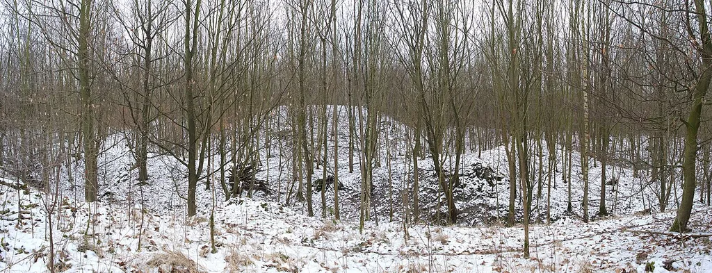 Aufnahme der Imbsenburg von NNW; Paderborn