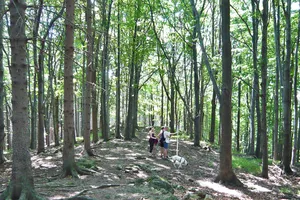 Šaumburk