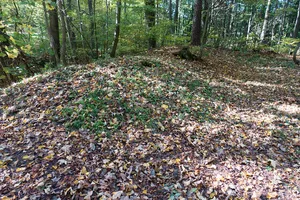 Burgstall Keilberg
