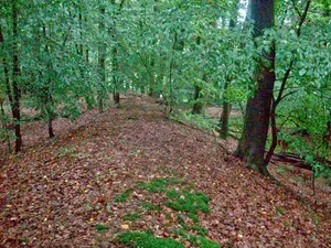 Ringwall Alteburg