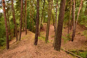 Hlavačov