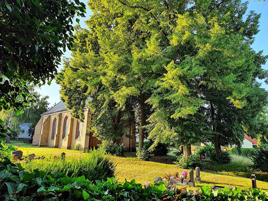 Naturdenkmal: Linden an Kirche Beiersdorf bei Grimma