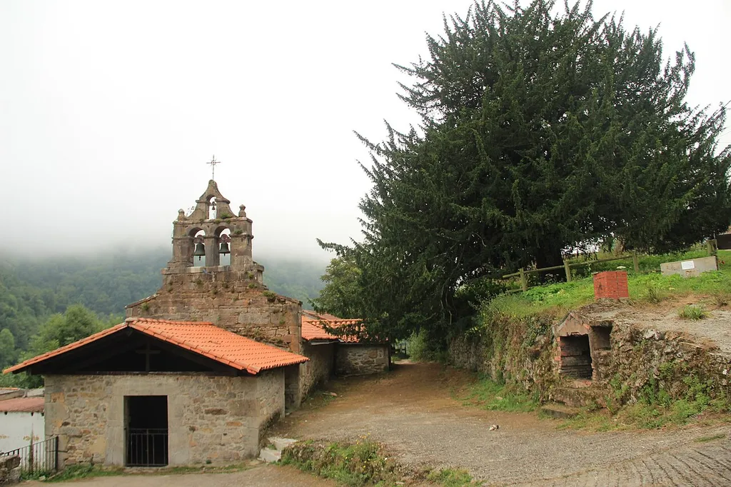 Field of Church of San Juan Bautista de Montoubo (Belmonte de Miranda). Church and yew tree.