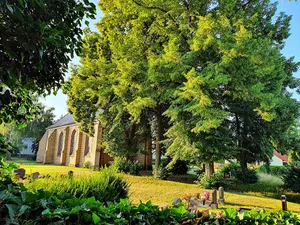 Linden bei Kirche Beiersdorf