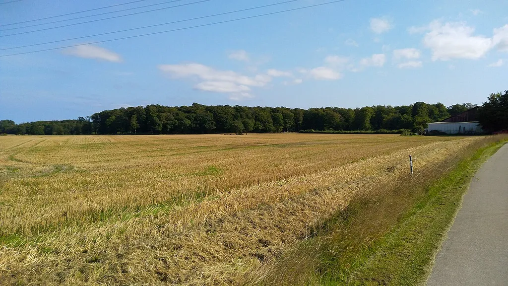 FFH-Gebiet Karlsburger Holz