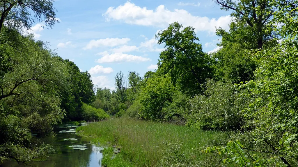 Landschaftsschutzgebiet „ Landschaftsschutzgebiet Rheinniederung zwischen Insel Aubügel und Neuburgweier” is a Protected landscape area in Baden-Württemberg, Germany.
