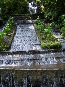 Uruapan