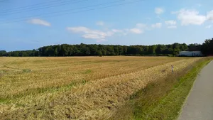 Karlsburger Holz