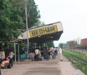 Beohari