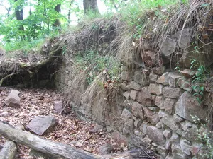 Obřany (Castle)