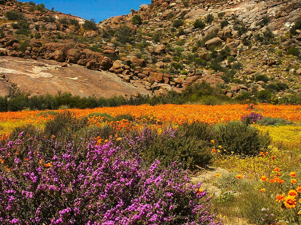 Goegap Nature Reserve