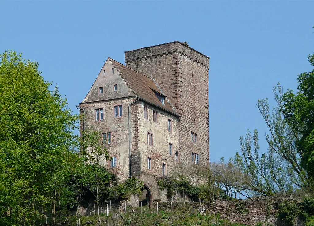 Vorderburg der vier Burgen von Neckarsteinach, Ansicht vom Neckar aus
