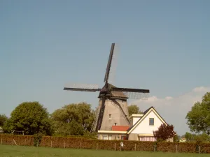 Zijdewind