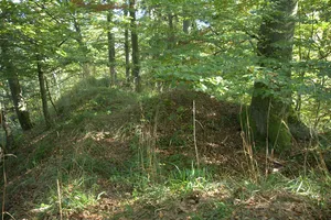 Burgstall Altenthannstein