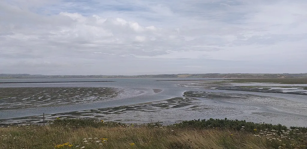 Tramore Backstrand and Dunes, a nature reserve adjacent to Tramore Beach.