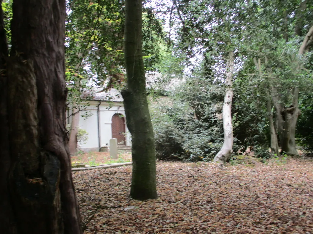 A glimpse of St Andrew's church, Hagnaby