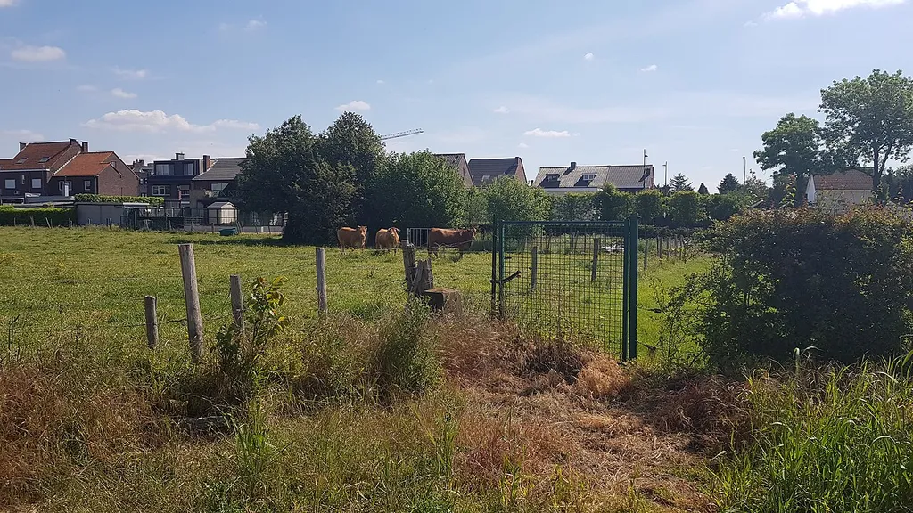 grenspaal 101b tussen België-Nederland, Maastricht-Smeermaas (achter steen: BE, voor steen: NL)