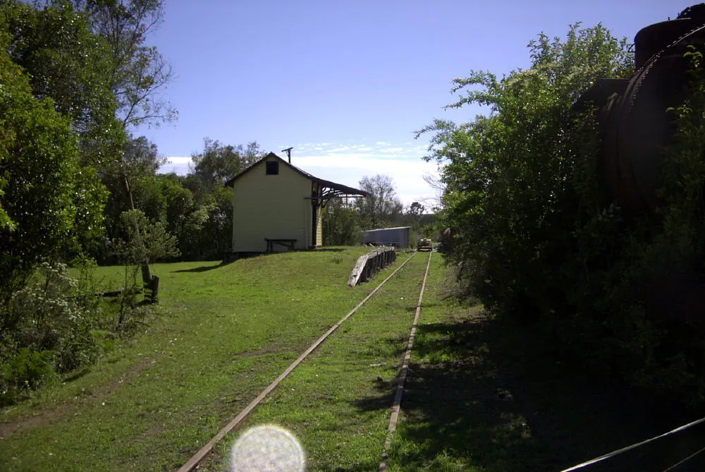 Ulong railway station, on the Dorrigo railway line.