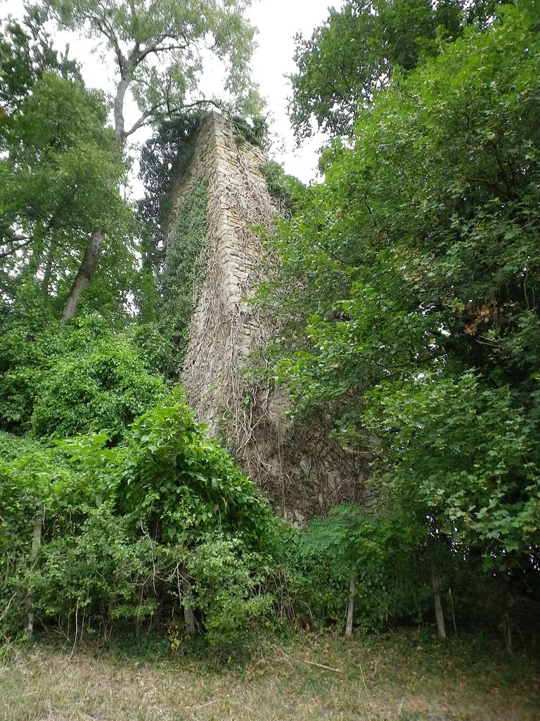Ruines du château de Montagny