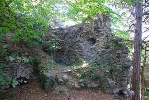 Burgruine Kammerstein