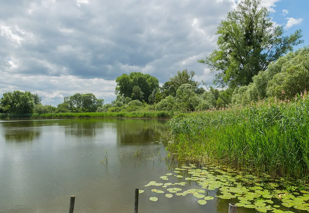 Lake Kirchstück (Kirchstücker See) near Kirch Stück, district of Klein Trebbow, Landkreis Nordwestmecklenburg, Mecklenburg-Western Pomerania, Germany.
