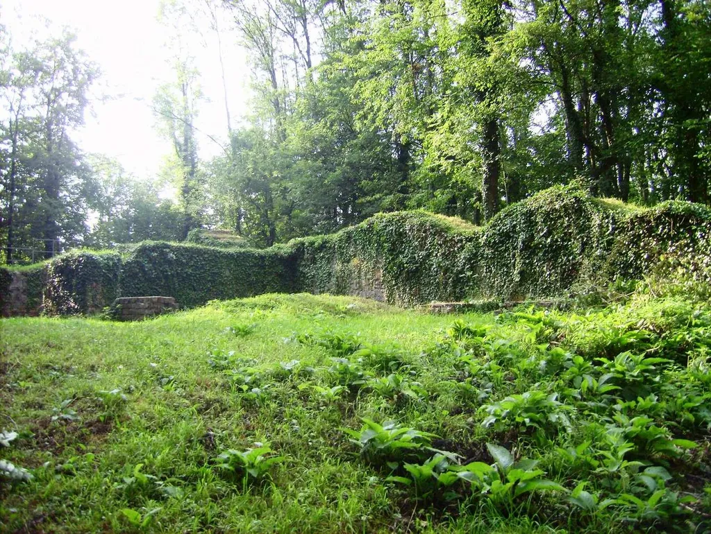 Rüdenburg Arnsberg - Trennmauer zwischen Vor- und Hauptburg von Süden